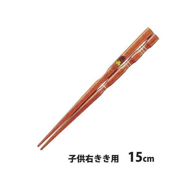 [OK@CV_@O_x@͂@15cm@qEEp@