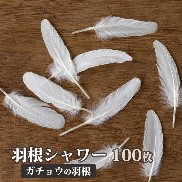 羽根シャワー ガチョウの羽根 100枚 約20cm 白 天然 フェザー 装飾