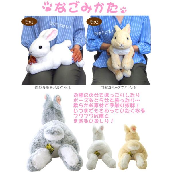 サンレモン ひざうさぎ S グレー ホワイト ベージュ ぬいぐるみ ウサギ ペット 実物大 Buyee 日本代购平台 产品购物网站大全 Buyee一站式代购 Bot Online