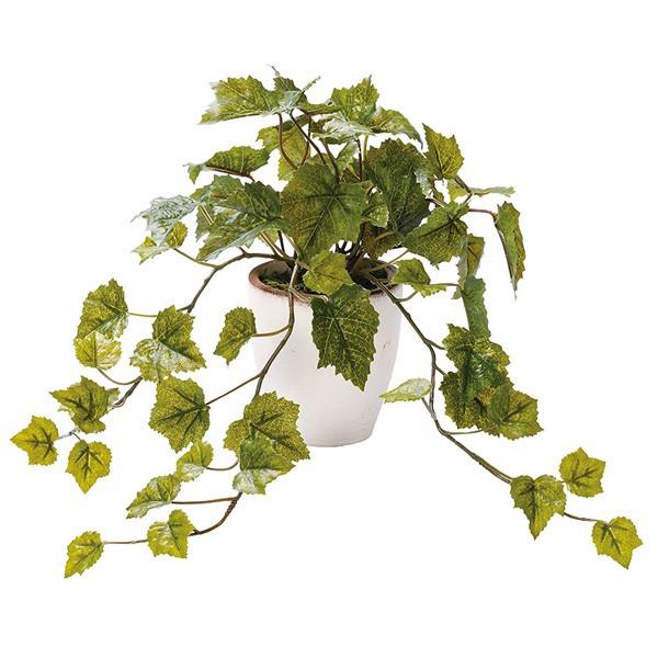 ���G�}�@�C���e���A�O���[���@�O���[�v���[�tLB�@LB-02�@497942D�@�l�H�@�ϗt�A���@���ԁ@�t�F�C�N�O���[��