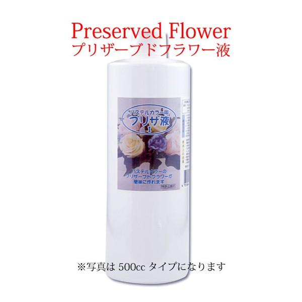 pXeJ[puUt1@250cc@Et@vU[uht[ t 