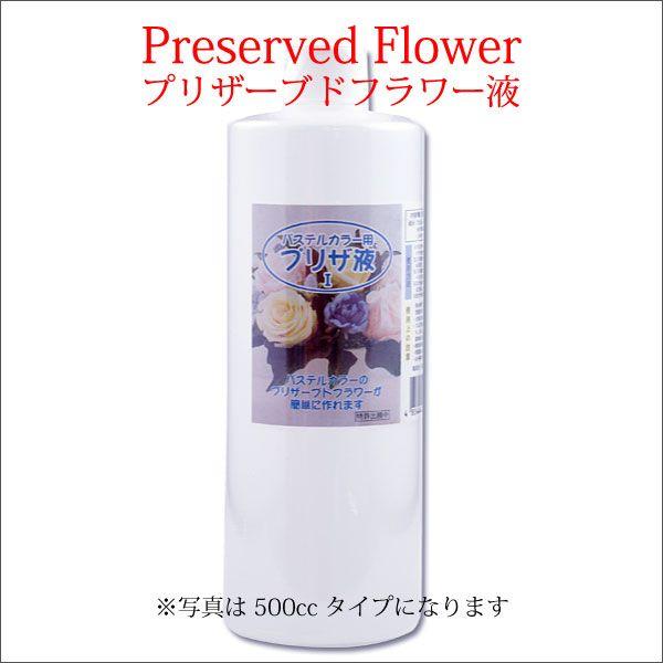 pXeJ[puUt1@500cc@Et@vU[uht[ t 