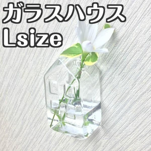 ガラスハウス ｌサイズ インテリア フラワーベース 花瓶 小さい 家型 ガラス 透明 壁掛け 花器 一輪挿し ガラスベース Buyee Buyee 日本の通販商品 オークションの代理入札 代理購入