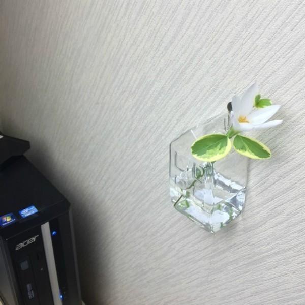 ガラスハウス ｌサイズ インテリア フラワーベース 花瓶 小さい 家型 ガラス 透明 壁掛け 花器 一輪挿し ガラスベース Buyee Buyee 日本の通販商品 オークションの代理入札 代理購入