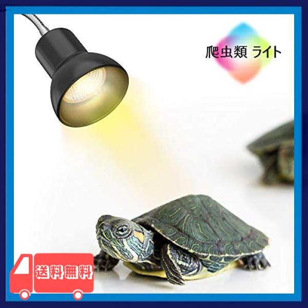 Dadypet 爬虫類 ライト ランプ 両生類ヒーター クリップスタンド 亀 爬虫類用 バスキングライト 保温電球 Uva Uab Grahamengineering Co Uk