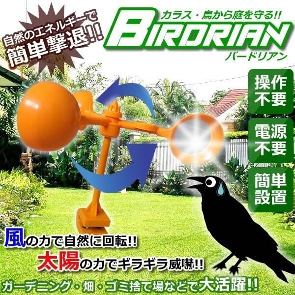バードリアン 鳥 カラス 害獣 撃退 反射 カラス除け ゴミステーション ガーデニング 庭 畑 ゴミ捨て場 Et Torian Buyee Buyee 日本の通販商品 オークションの代理入札 代理購入