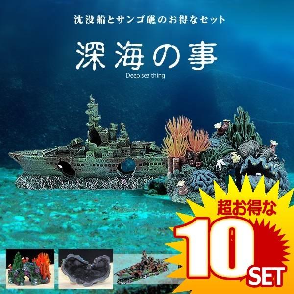 沈没船 サンゴ礁 2種類セット アクアリウム 水槽 オブジェ オーナメント 水中 テラリウム ジオラマ リアル 模型 船 おしゃれ 男前 の 10個セット Www Arilab Com Tr Index Php
