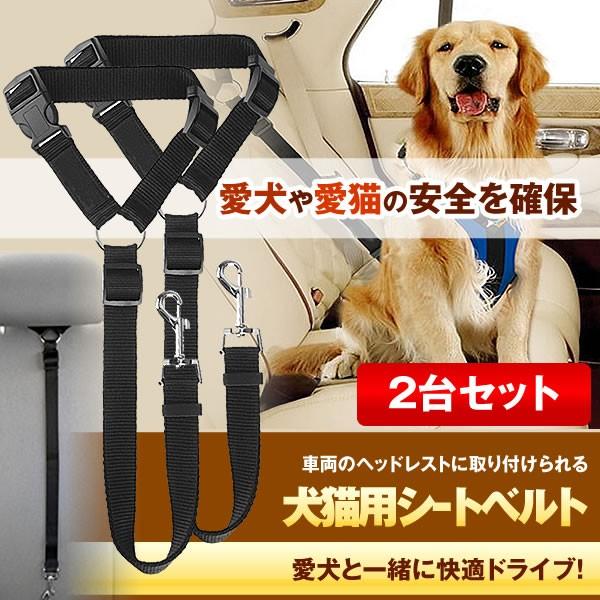 ペット 犬用 猫 シートベルト 2台セット ペット 犬用 猫 ドライブ 車専用リード 安全ベルト 飛びつく防止 簡単装着 2 Sharihon S Kh0227 14a 2set アルファスペース 通販 Yahoo ショッピング