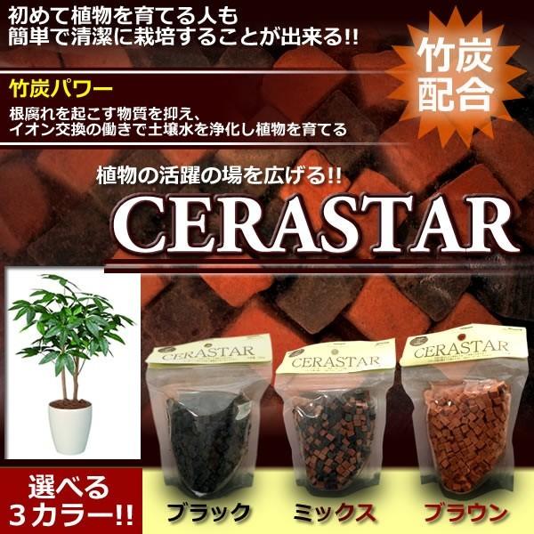 Cerastar 植物 ガーデン キューブ 石 観葉 インテリア ガーデニング 土 デコレーション Sa Cere Buyee Buyee Japanese Proxy Service Buy From Japan Bot Online