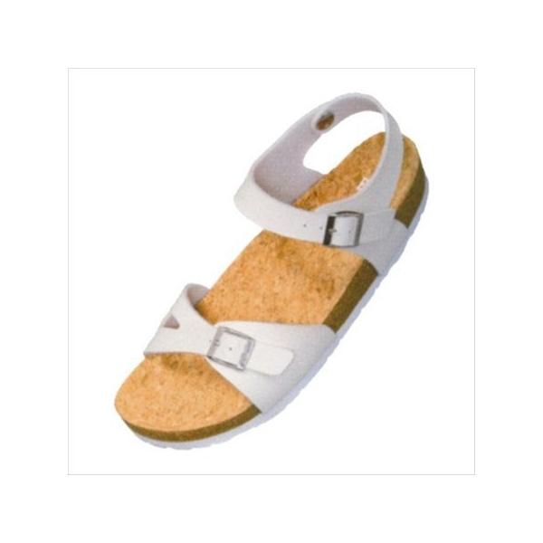 [EDWIN]GhEB fB[XfBXT_ (EW9464)(2) zCg[񏤕i]