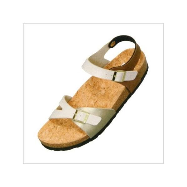 [EDWIN]GhEB fB[XfBXT_ (EW9464)(828) }`uE[񏤕i]