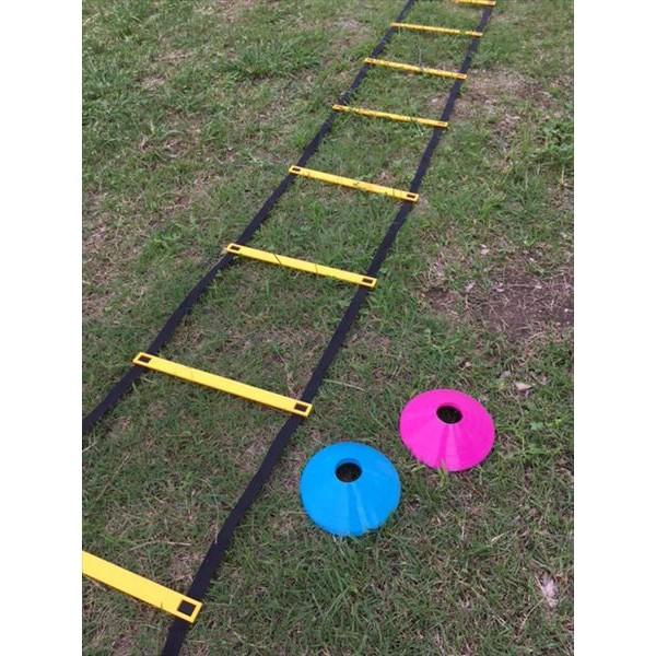 [softouch]\t^b` g[jO_[Zbg (SO-TRRDS)[񏤕i]