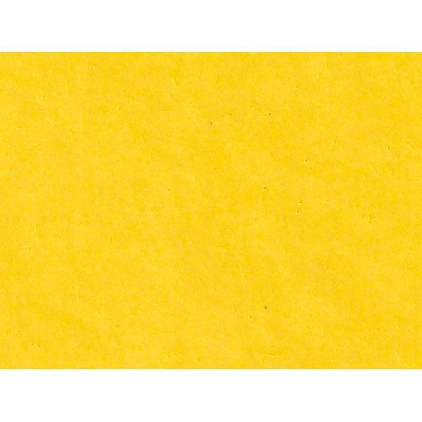 YONEX[lbNX]EFbgX[p[Obv5{pbN(AC1025P)(004)CG[[񏤕i]