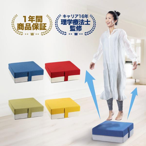 【理学療法士監修】 トランポリン クッション Aspiracoin ｜ 静音 ダイエット 室内 コンパクト 有酸素運動 体幹トレーニング 筋トレ 洗濯可