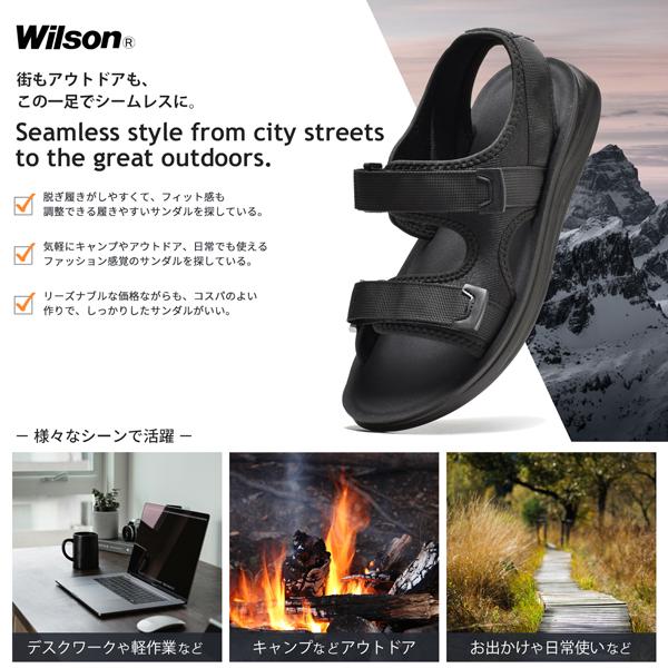 assistant_wilson3650_3_d_20250321195428