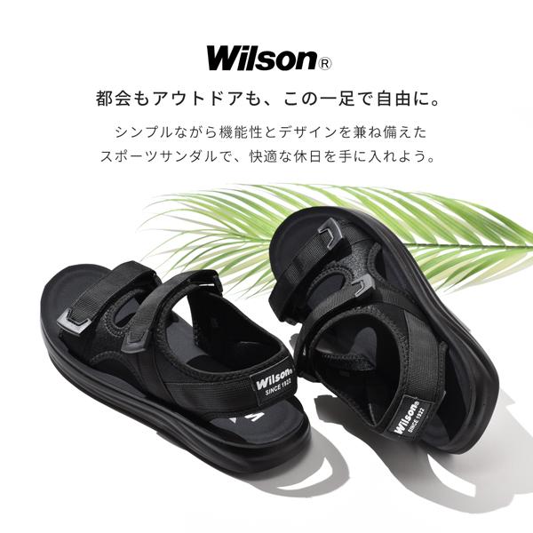 assistant_wilson3650_4_d_20250321154150