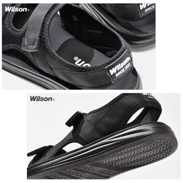 assistant_wilson3650_5_d_20250321142413