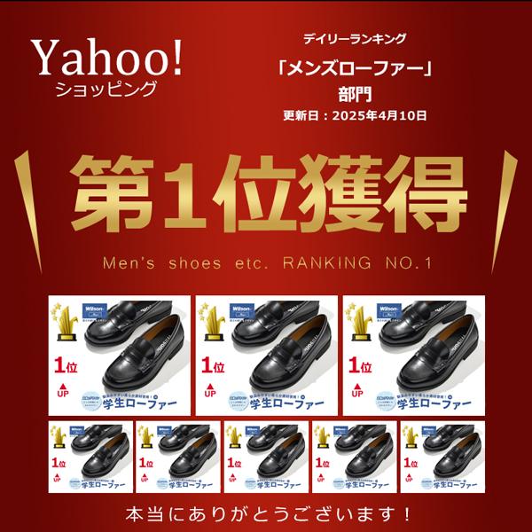 assistant_wilson5501_2_d_20250411031622