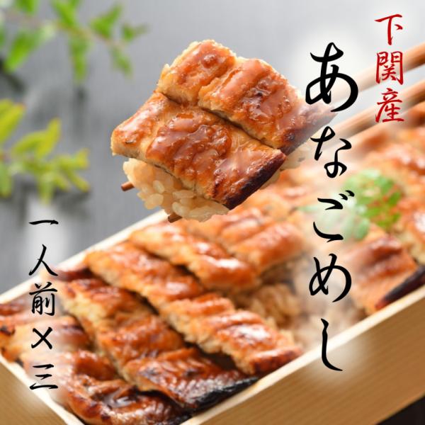 下関の隠れた名産品「真穴子」じつは昔から穴子の水産加工は盛んな地域です。当店は後発ですが、穴子を熟知した職人が、当店独自の製法で穴子の嫌味・臭味を除き、秘伝のタレで煮込み、さらに香ばしさを求めてじっくり焼き上げた焼穴子。当店自慢のエキス抽出...