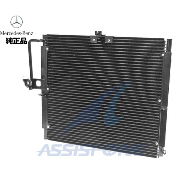 assistone1_4635000454