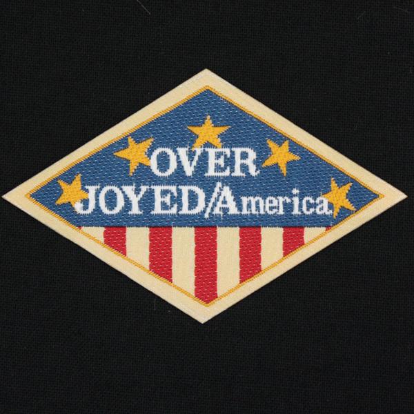 �D�l�[�� �u���[�����b�h���C�G���[�n SW 45��70����