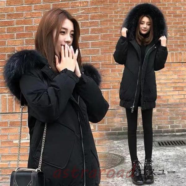 astraroad_coaty-2822-73