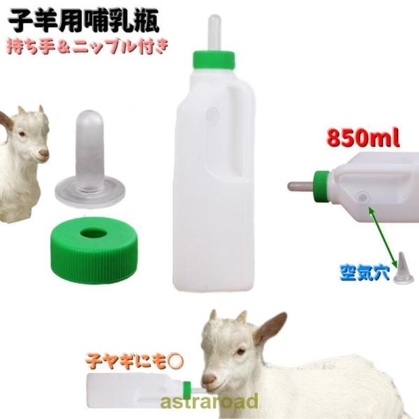 [Release date: June 7, 2024]持ちやすいハンドル付きの子羊用哺乳瓶です?子羊や子ヤギにお使いいただける850mlサイズ！ネジ式キャップでしっかり閉められて取外し可能なニップル付きです。【サイズについて】画像をご参照...