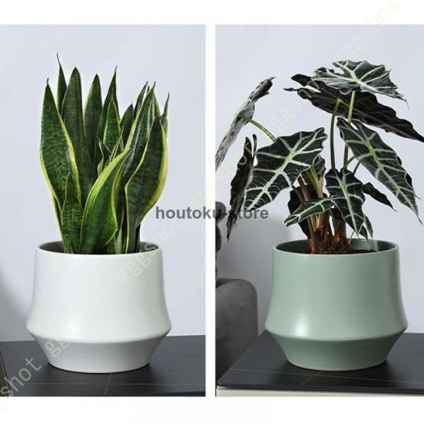 植木鉢 フラワーポット 底穴あり 12cm 16cm 22cm 部屋飾り 陶器製 北欧バルコニー 観葉植物 おしゃれ 円筒 室内 プランター サボテンポット 中型 セラミック