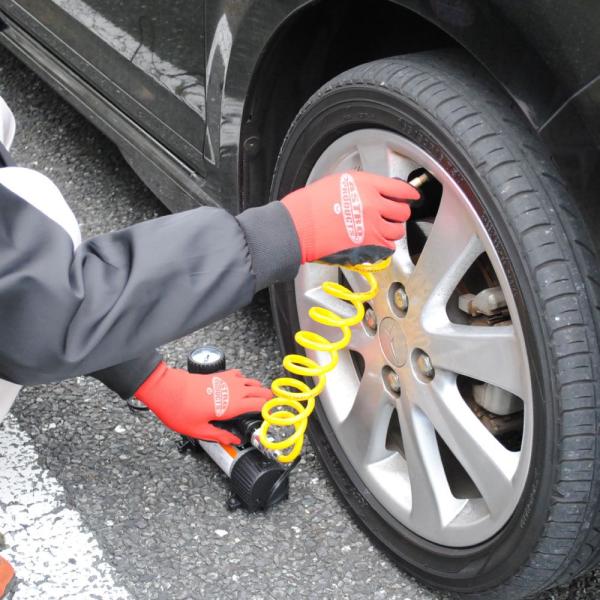 astroproducts_2004000008279_1_d_20240229110022