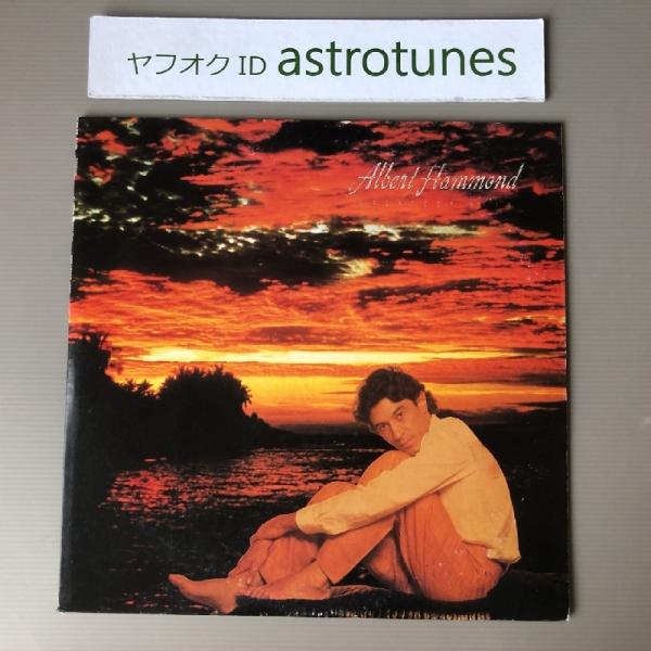 美盤 アルバート・ハモンド Albert Hammond 1981年 LPレコード グレイ