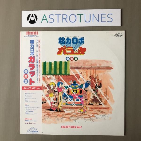 ワールド　民族音楽　レコード　12枚セット RE0529-36 astrotunes_a002877