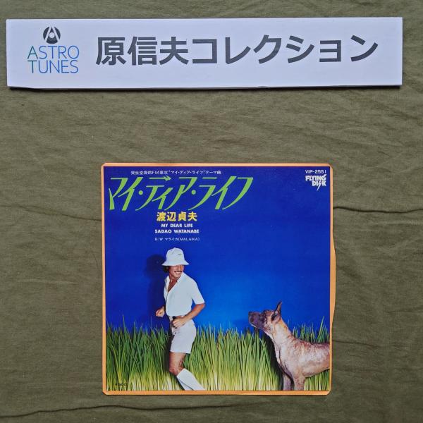 原信夫Collection 傷無美盤 美ジャケ 美品 両面マト111 プロモ盤 1977年 初年盤 渡辺貞夫 EPレコード My Dear Life: ASTROTUNES a020787