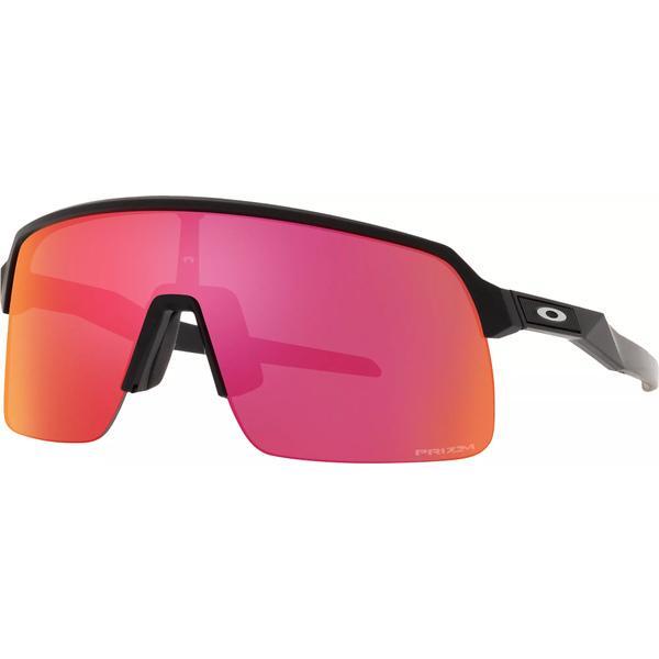 sutro sunglasses