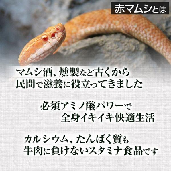 赤まむし粉末 (50g) 天然ピュア原料 そのまま健康食品 赤まむし 赤マムシ アカマムシ あかまむし 蝮 まむし 粉末 健康 パウダー /【Buyee】 赤まむし粉末 (50g) 天然ピュア原料 そのまま健康食品 赤まむし 赤マムシ アカマムシ あかまむし 蝮 まむし 粉末 健康 パウダー /【Buyee】