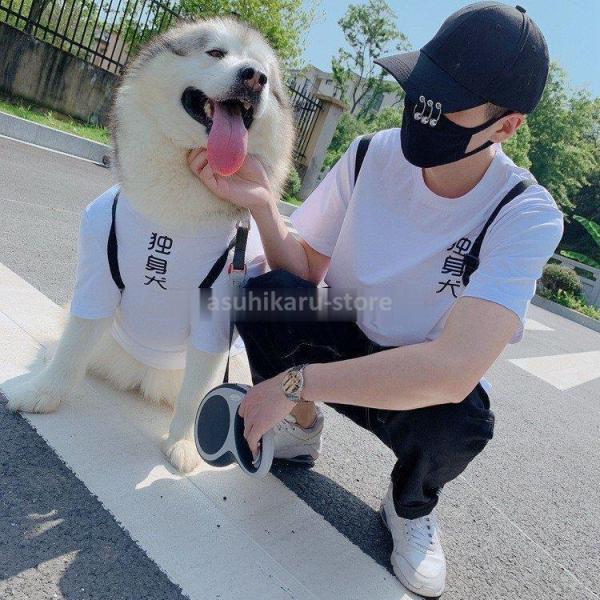 大型犬用 ペットとお揃い服 夏服の価格と最安値 おすすめ通販を激安で