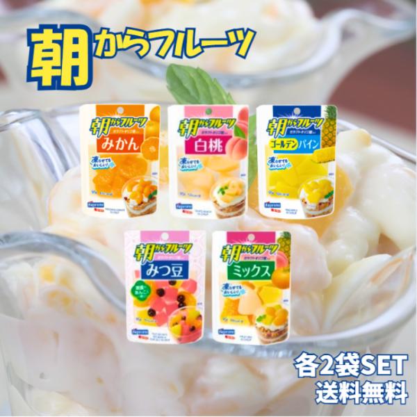 はごろも 朝からフルーツ 95g パウチ 5種各2個セット (みかん、白桃、ゴールデンパイン、みつ豆、ミックス） デザート おやつ 料理 簡単