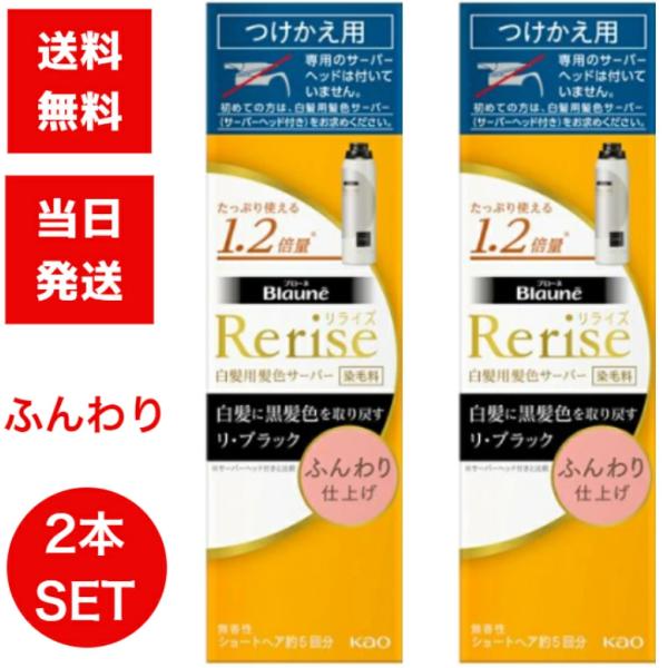 人気おすすめ☆3本☆花王リライズ☆白髪用☆リ・ブラック(ふんわり)付け替え☆染毛 リライズ 白髪用髪色サーバー リ・ブラック
