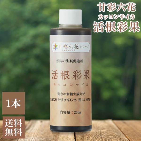 活根彩果は全ての作物の育苗・活着促進に最適な発根促進剤です。育苗期に使用すると、早期に大量の新根を根付かせるので、作物を育てる上で大切な土台がしっかりとでき、安定して作物を育てることが出来ます。特に、細根の量が増えるので根が充実し、水・肥料...