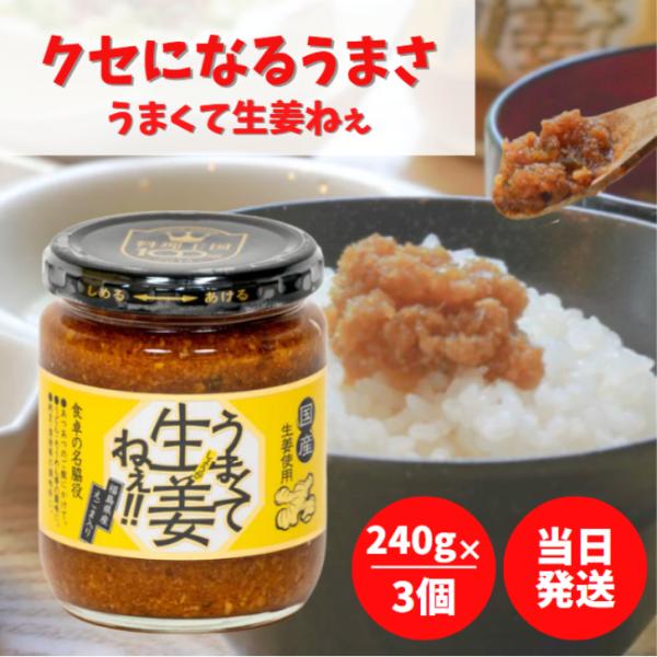 他サイト： 吾妻食品 うまくて生姜ねぇ 240g 3個 セット 国産 生姜 えごま 醤油 たれ きざみ しょうが 秘伝 タレ ご当地 福島 万能調味料の商品画像