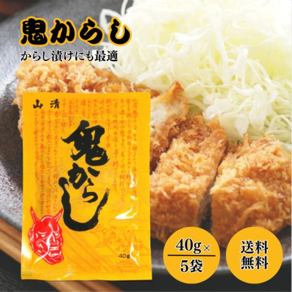 山清 鬼からし 40g 5袋 セット からし漬け きゅうり漬け 辛子 粉からし 和からし 粉末 練り からし 激辛 おでん トンカツ サンドイッチ 漬物 漬け 常温保存