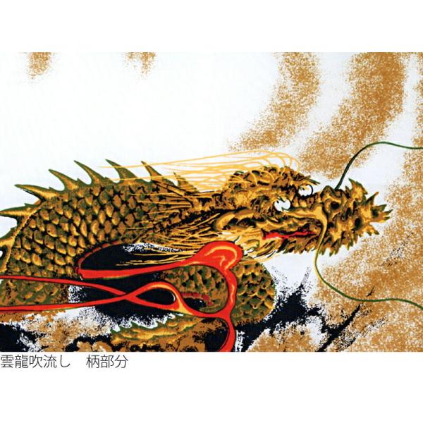 ナイロン東レアミック 季節玩具 庭園用 東旭 ゲーム おもちゃ 鯉のぼり 雲龍吹流し 昴 ひなの里 こいのぼり 6m6点セット 6m6点セット 家紋 名前入れ可能 To Sub Un 6m 6 To Sub Un 6m 6 人形専門店