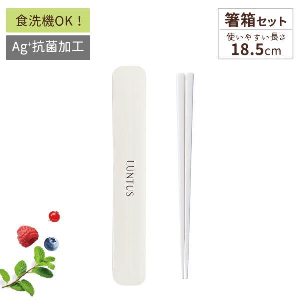  Zbg C^X AXx ASVEL LUNTUS g  q  ٓ  Mtg