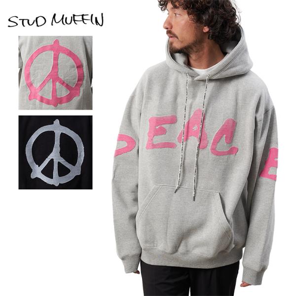 asylum_stdmfn23aw010