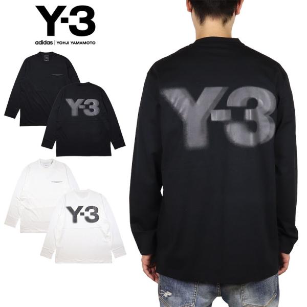 asylum_y3120