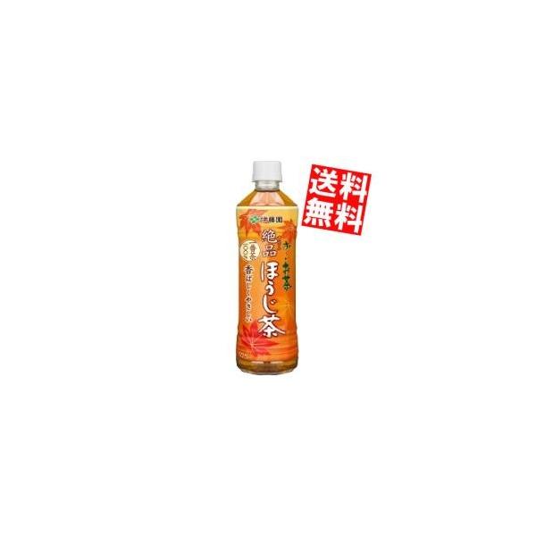 伊藤園 お～いお茶 ほうじ茶 525ml×24本 PET (お茶飲料) 価格