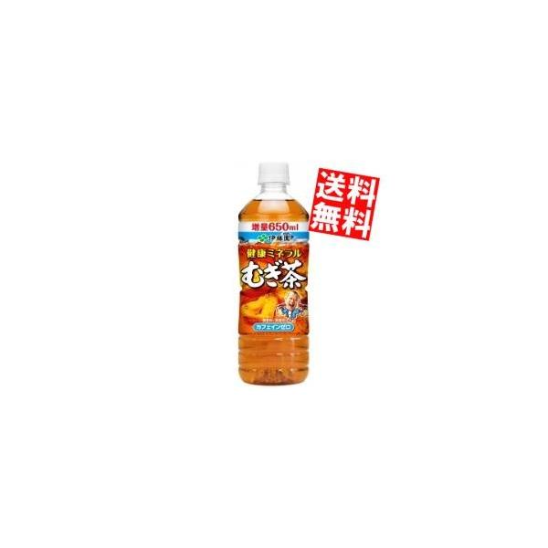  ɓ N~lނ 650mlybg{g 24{[~l]