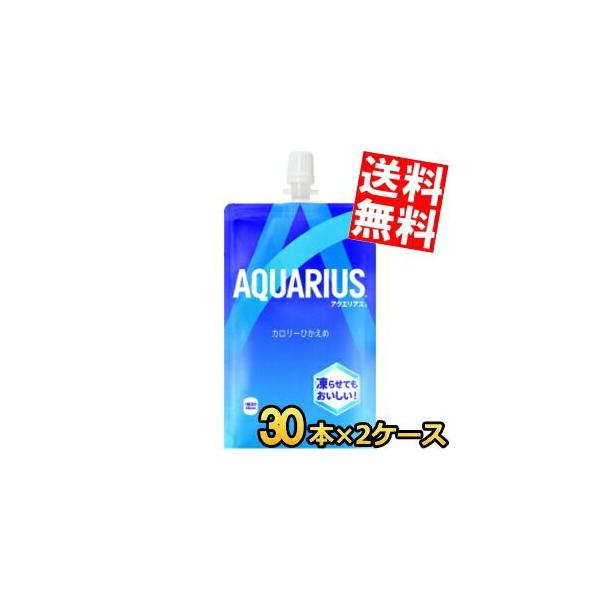 コカコーラ アクエリアス 300gハンディパック 60本(30本×2ケース) コカ・コーラ スポーツドリンク スポドリ 熱中症対策