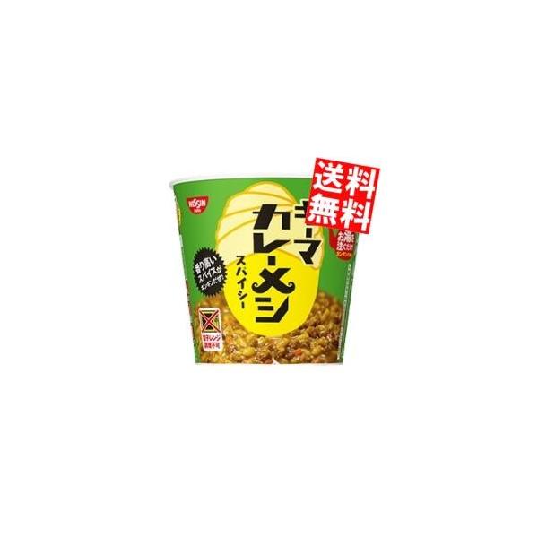他サイト： 送料無料  日清 89gキーマカレーメシ スパイシー 6食入 ポイント利用の商品画像