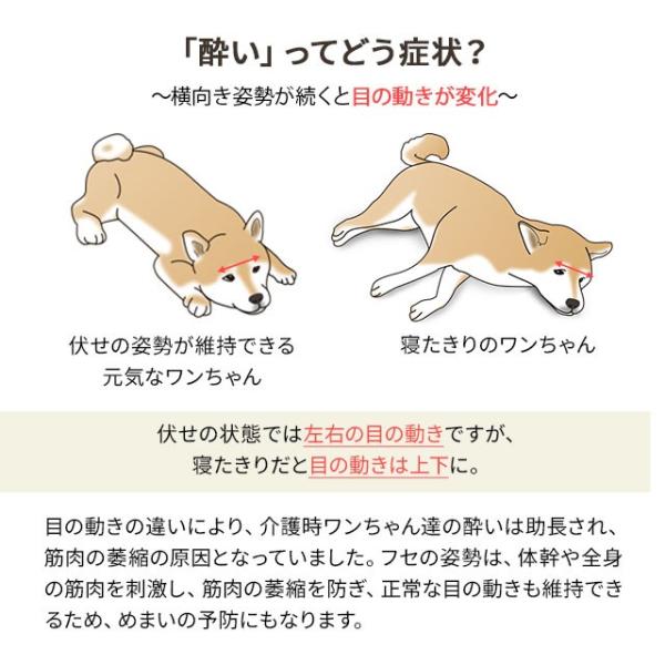 介護用 ドッグ ベッド Lサイズ Xlサイズ 洗える 床ずれ 寝たきり 防止 防水 カバー 犬 猫 ペット 小型 中型 大型 老犬 老猫 高齢 シニア 介護 送料無料 エムール エムール Emoor 布団 家具 通販 Paypayモール