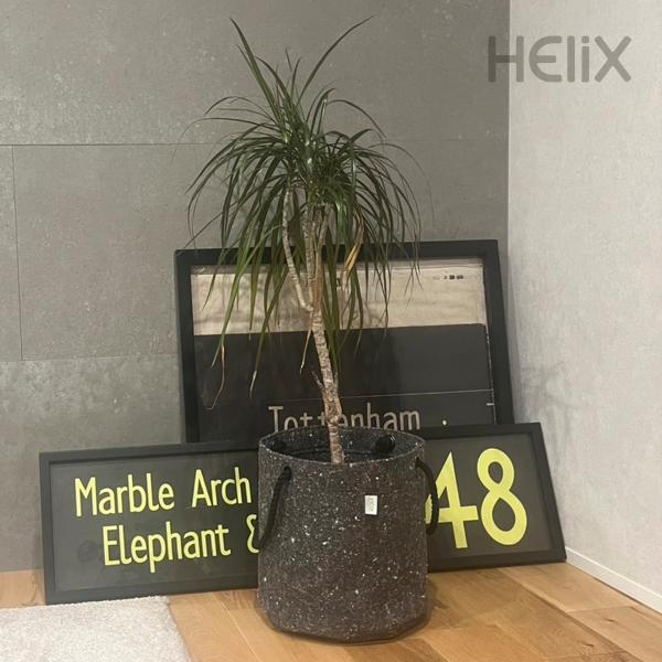 BASKET No.02(L) 多機能で環境に優しいバスケット